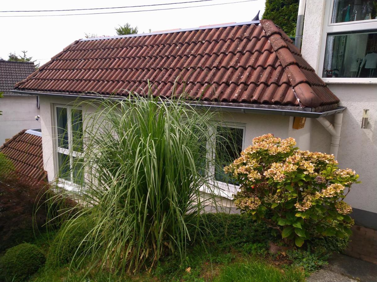 Ferienwohnung Im Naturpark Rhein-Westerwald Rengsdorf Exterior photo